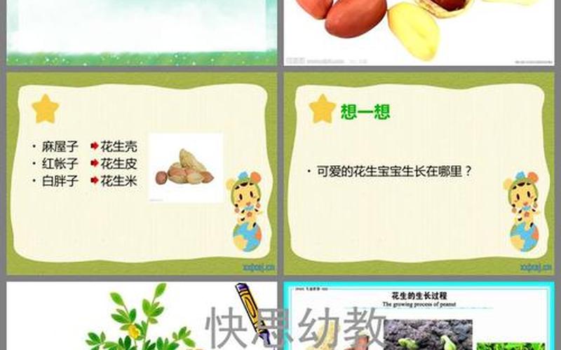 花生是属于茎还是根(花生茎的作用和功效)