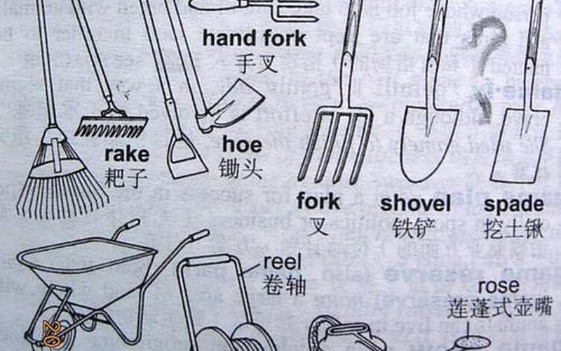 还是是工具(器具和工具的区别)