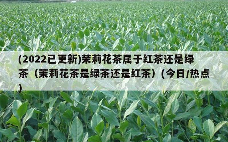 花茶是绿茶还是红茶(茉莉花茶有红茶吗)