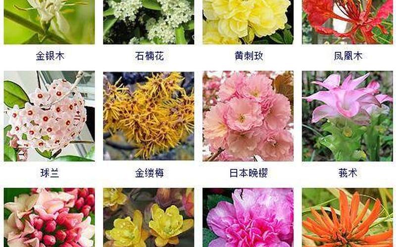 花卉是属于林业还是农业(花卉属于农作物吗)