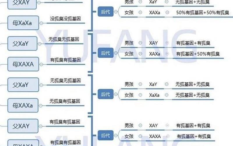 狐臭是隐性还是显性遗传(狐臭轻重程度跟遗传有关系么)