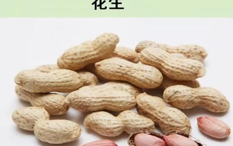 花生是干果还是坚果(花生可以代替坚果吗)