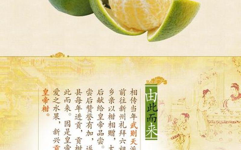 皇帝柑是热性还是寒凉(皇帝柑止咳吗)