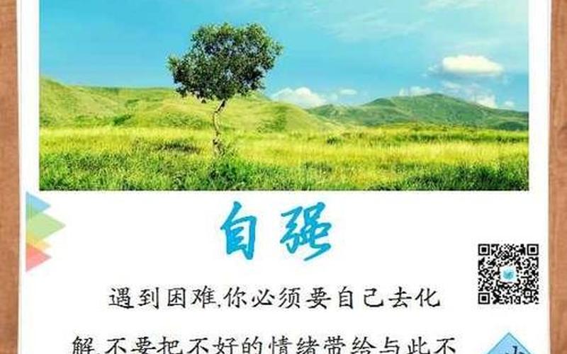 后盾是坚强还是坚实(什么是坚强的后盾)