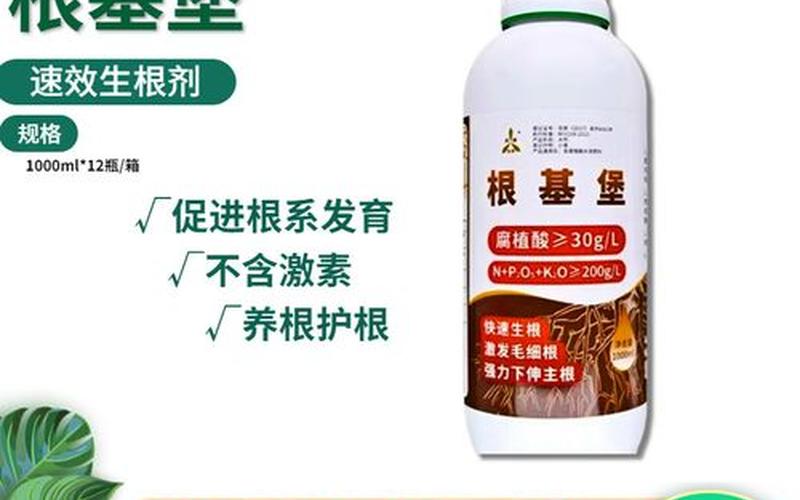 还是是根好(根基好是什么意思)