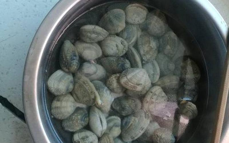 花甲是开口还是闭口呢(买来的花甲闭着口怎么办)