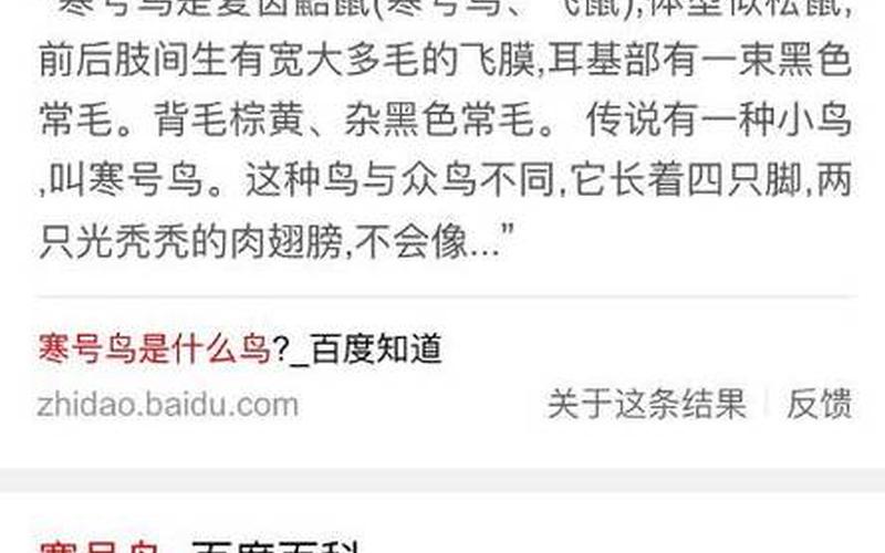 还好鸟是鼠类还是鸟(寒号鸟是鼠吗)