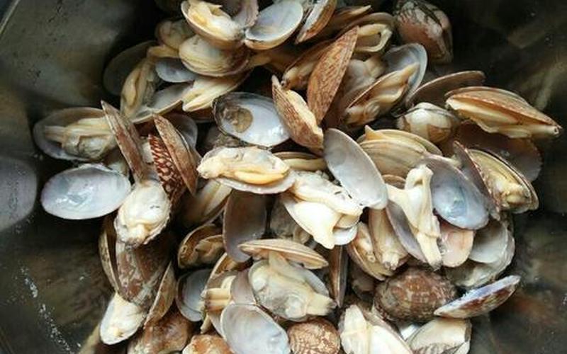 花甲死了壳是开口还是闭着的(花甲触角伸出来不动了还可以吃吗)