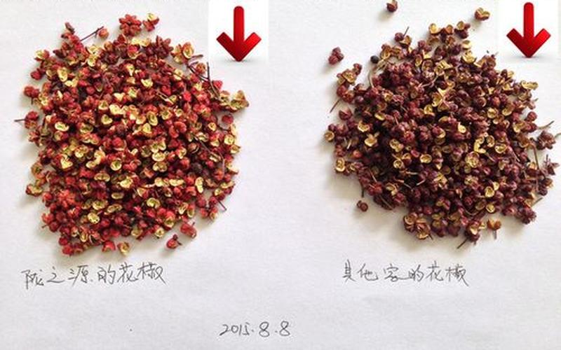 花椒大料是热水还是凉水(牛肉不放花椒还是大料)