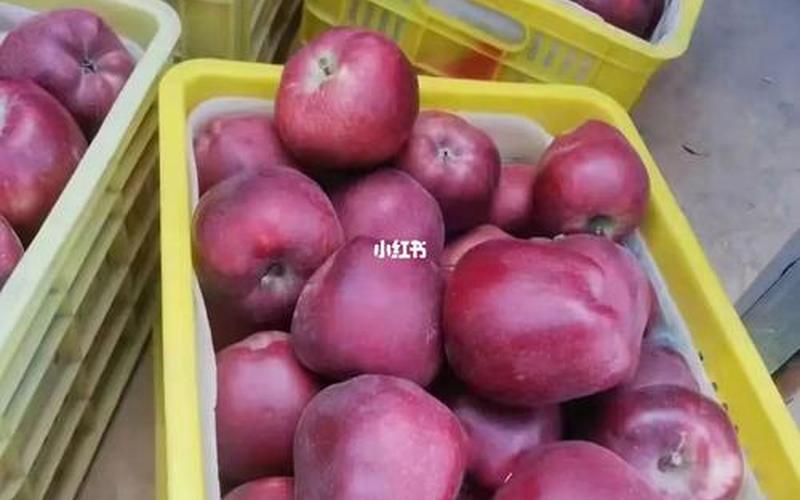花牛苹果是粉还是脆的(什么品种的苹果是粉的)