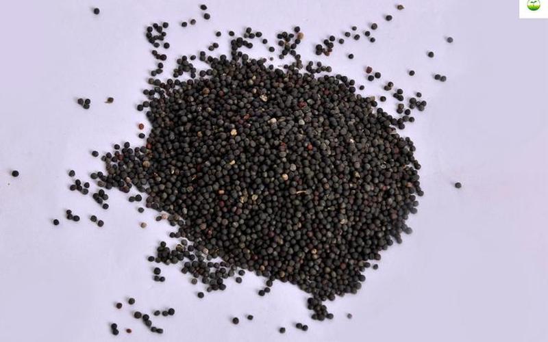 花菜是果实还是花(西兰花的果实)