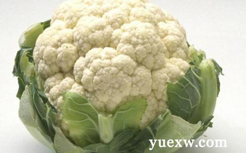 花菜是凉性还是热性(花菜上火还是下火的)