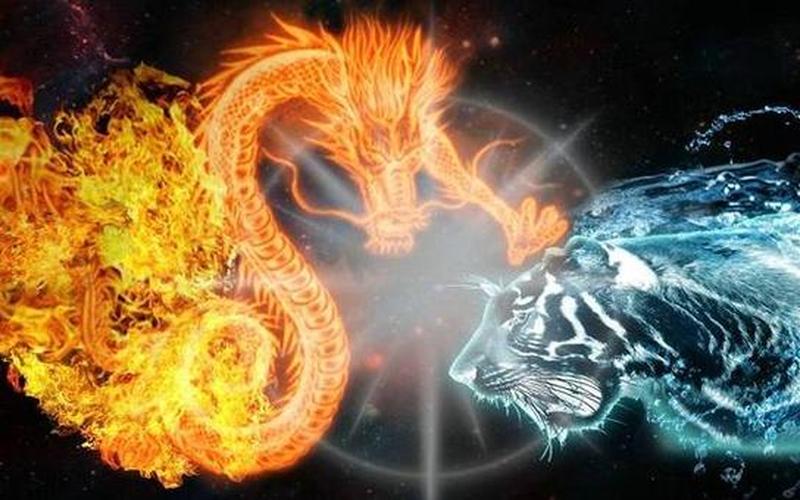 虎小龙是国产还是合资(虎和小龙能在一起吗)
