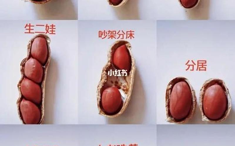 花生是减肥还是增肥(每天吃花生胖还是瘦实验)
