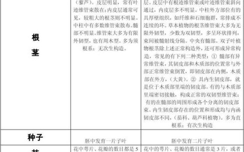 花生是单子叶植物还是双子叶植物(怎么判断单子叶和双子叶植物)