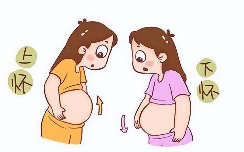 后壁是上怀还是下怀(后壁下怀容易提前生吗)