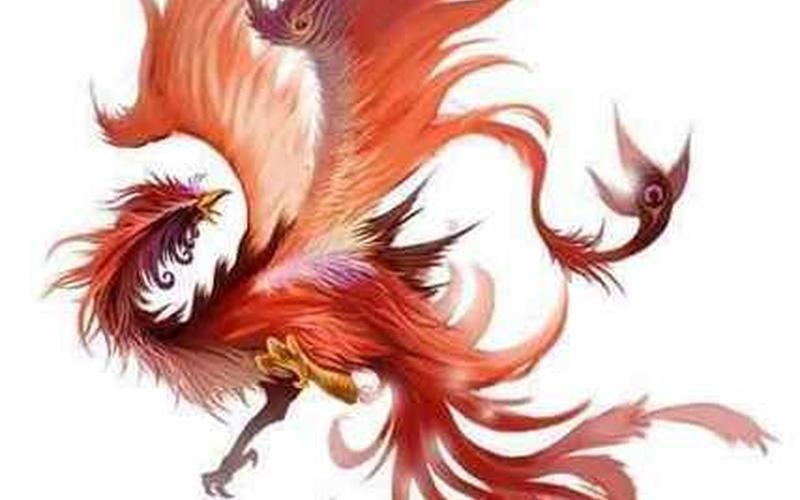 皇后是风还是凰(凤凰的凰是哪个凰)