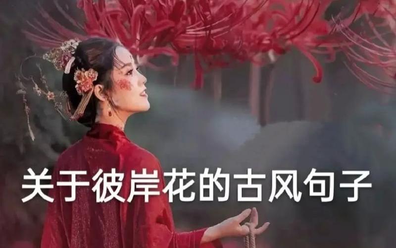 还是孟婆汤是哪首歌(歌词有孟婆汤是什么歌)