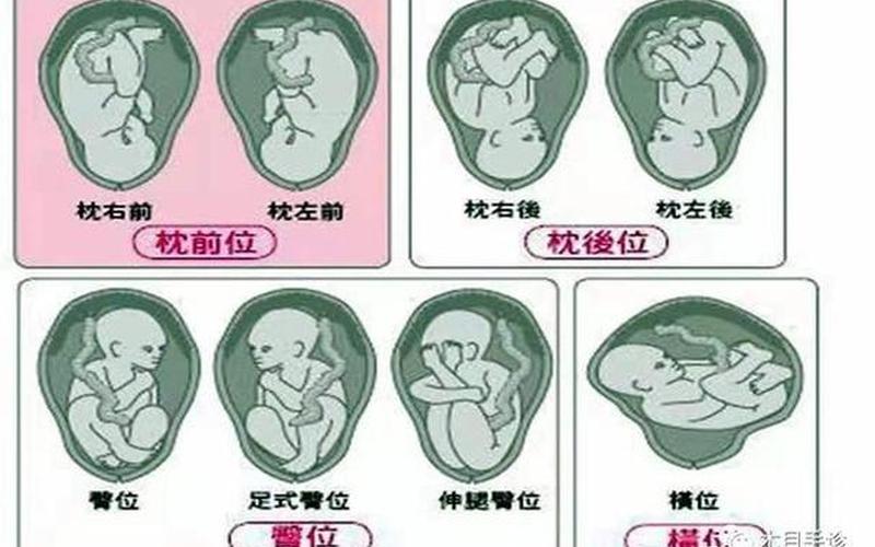 皇后正位代表是还是否(王后正位解读)