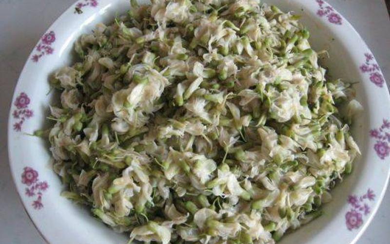 槐花是过水还是蒸好(蒸槐花是哪里的美食)
