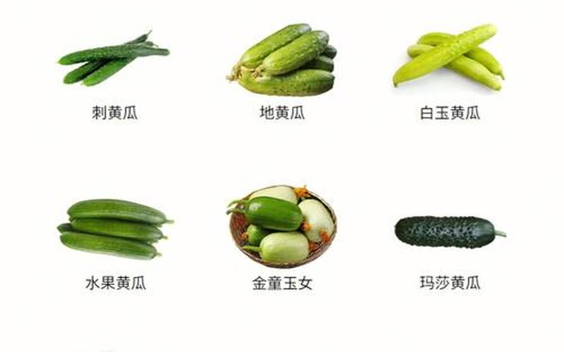 黄瓜是蔬菜还是水果(蔬菜和水果的区别)