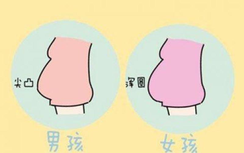怀孕肚子尖是男孩还是女孩(尖肚子生男孩的几率)