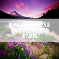 怀孕是药物流好还是做人流好(怀孕一个月可以用药物做人流吗)
