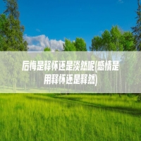 后悔是释怀还是淡然呢(感情是用释怀还是释然)