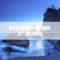 怀孕是先测纸还是抽血(抽血怀孕了 测纸测不到)