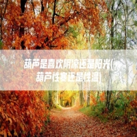 葫芦是喜欢阴凉还是阳光(葫芦性寒还是性温)