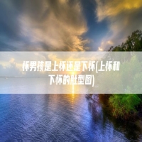 怀男孩是上怀还是下怀(上怀和下怀的肚型图)