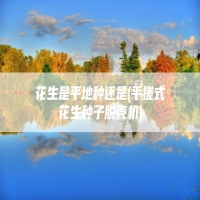 花生是平地种还是(平搓式花生种子脱壳机)