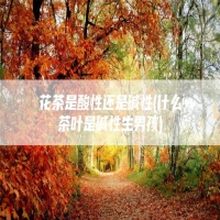 花茶是酸性还是碱性(什么茶叶是碱性生男孩)