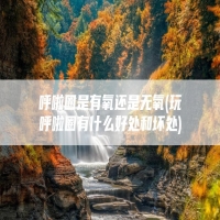 呼啦圈是有氧还是无氧(玩呼啦圈有什么好处和坏处)