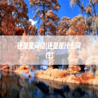还是是词组(还是是什么词性)