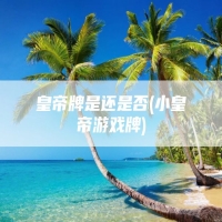 皇帝牌是还是否(小皇帝游戏牌)