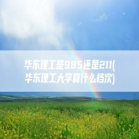 华东理工是985还是211(华东理工大学算什么档次)