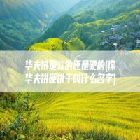 华夫饼是软的还是硬的(像华夫饼硬饼干叫什么名字)