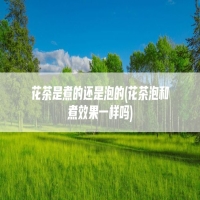 花茶是煮的还是泡的(花茶泡和煮效果一样吗)