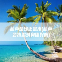 葫芦是砂还是水(葫芦装水喝对身体好吗)