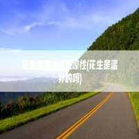 花生是热性还是凉性(花生是温补的吗)
