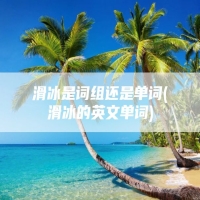 滑冰是词组还是单词(滑冰的英文单词)