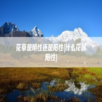 花草是阴性还是阳性(什么花属阳性)