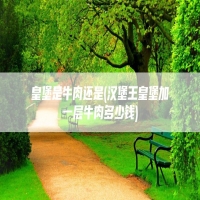 皇堡是牛肉还是(汉堡王皇堡加一层牛肉多少钱)