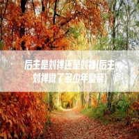 后主是刘禅还是刘禅(后主刘禅做了多少年皇帝)