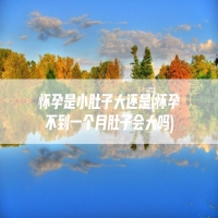 怀孕是小肚子大还是(怀孕不到一个月肚子会大吗)
