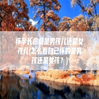 怀孕长痘痘是男孩儿还是女孩儿(怎么看自己怀的是男孩还是女孩？)