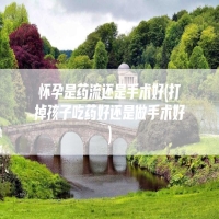 怀孕是药流还是手术好(打掉孩子吃药好还是做手术好)