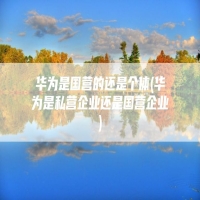 华为是国营的还是个体(华为是私营企业还是国营企业)