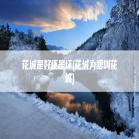 花城是好还是坏(花城为啥叫花城)
